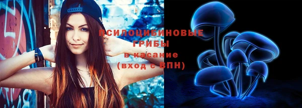 дурь Алексин