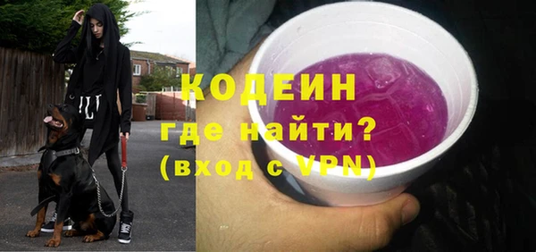 дурь Алексин