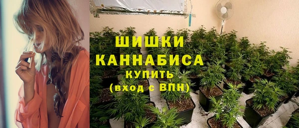 прущие грибы Абдулино
