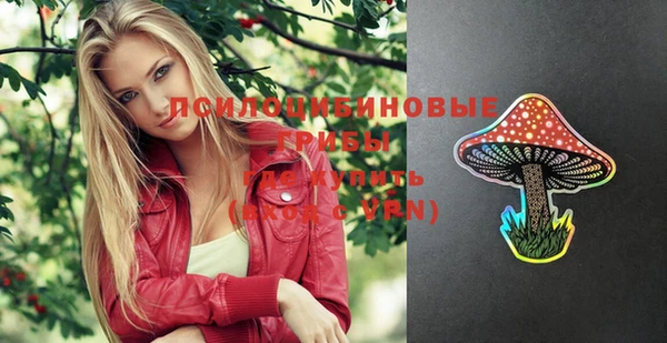 стафф Абинск
