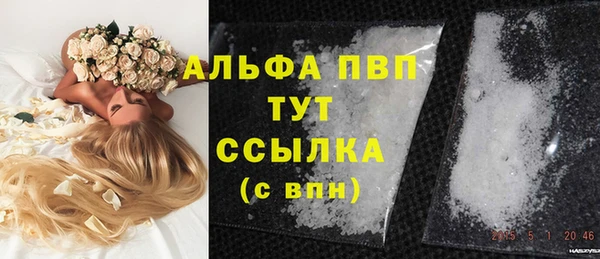 PSILOCYBIN Абаза
