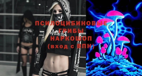 PSILOCYBIN Абаза