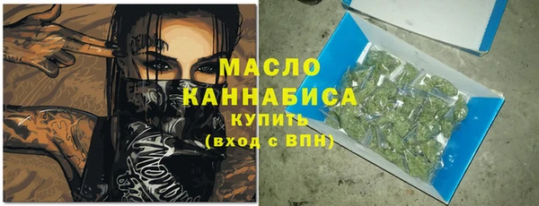 стаф Кулебаки