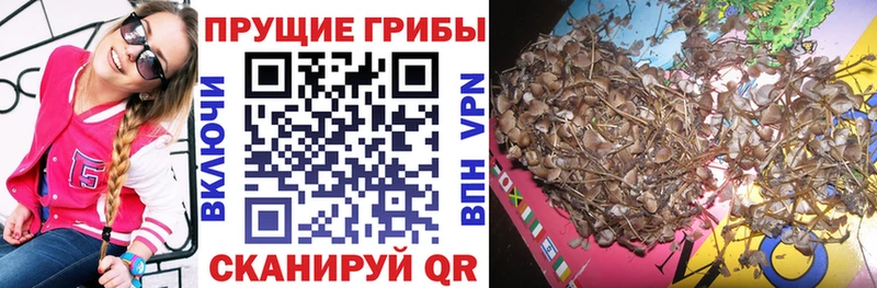Псилоцибиновые грибы прущие грибы  Алупка 